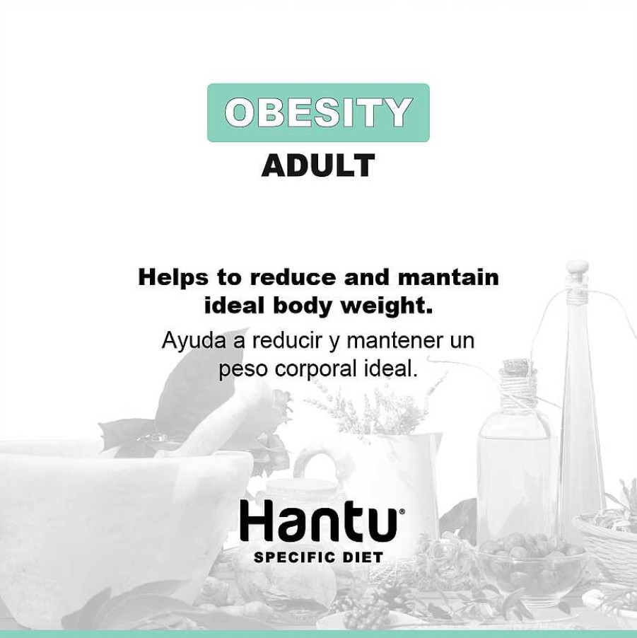 Perros Hantu Comida H Meda | Hantu Comida H Meda Specific Diet Obesity Para Perro