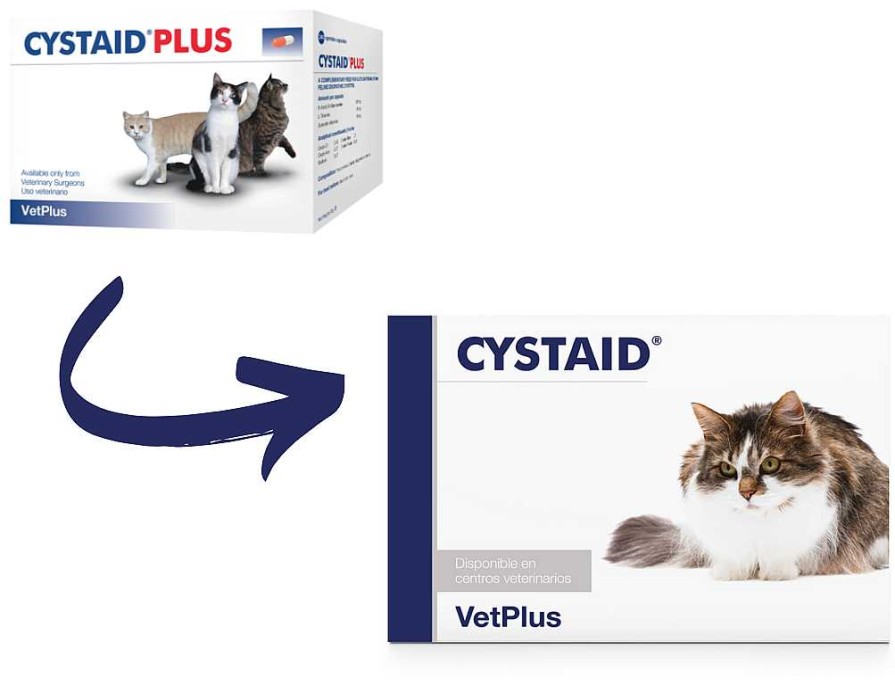 Gatos VetPlus | Vetplus Sumplemento Cystaid Para La Salud Renal Y Urinaria Del Gato