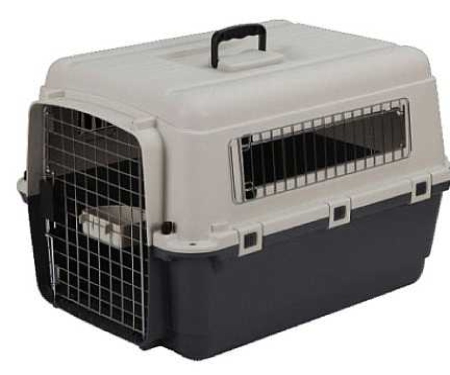 Perros Petpall Transportines | Petpall Transport N Aviator