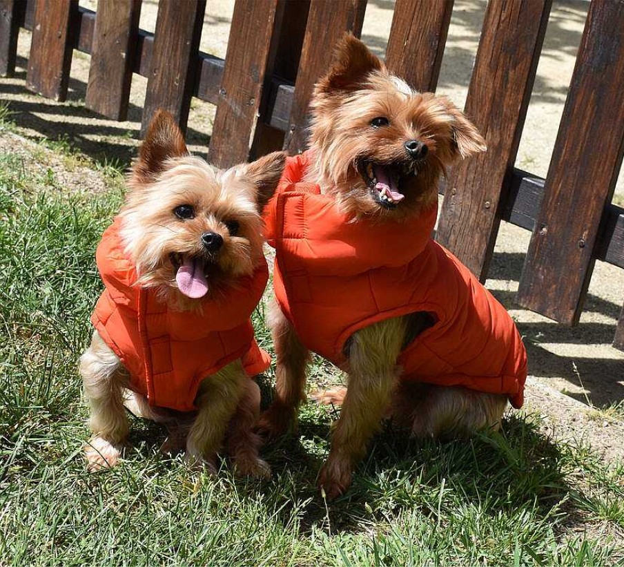 Perros Nayeco Chalecos | Nayeco Chaqueta Eiffel Naranja Para Perro