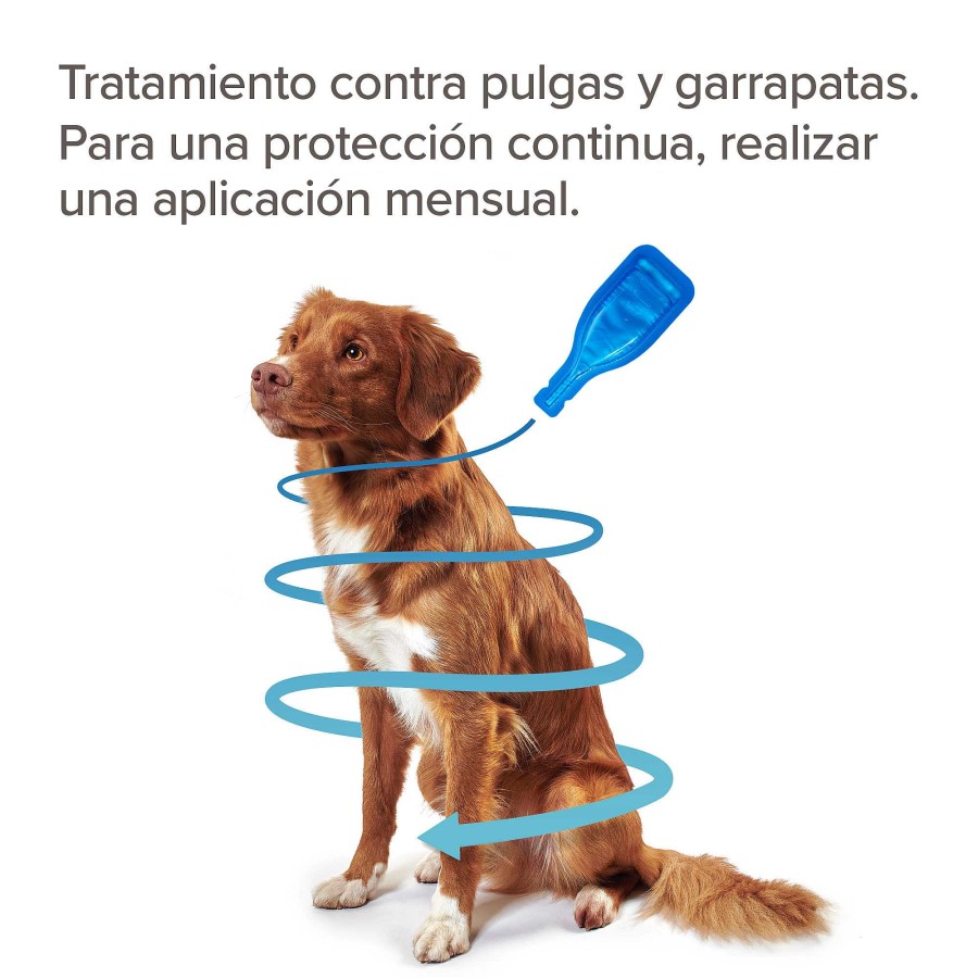 Perros Beaphar Pipetas | Beaphar Fiprotec Pipeta Spot-On Para Perros De 10-20 Kg (134Mg)