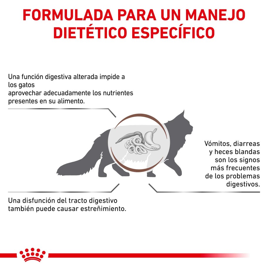 Gatos Royal Canin Pienso | Royal Canin Pienso Gastrointestinal Fibre Response Feline