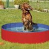 Perros Flamingo Acu Ticos | Flamingo Piscina Doggy