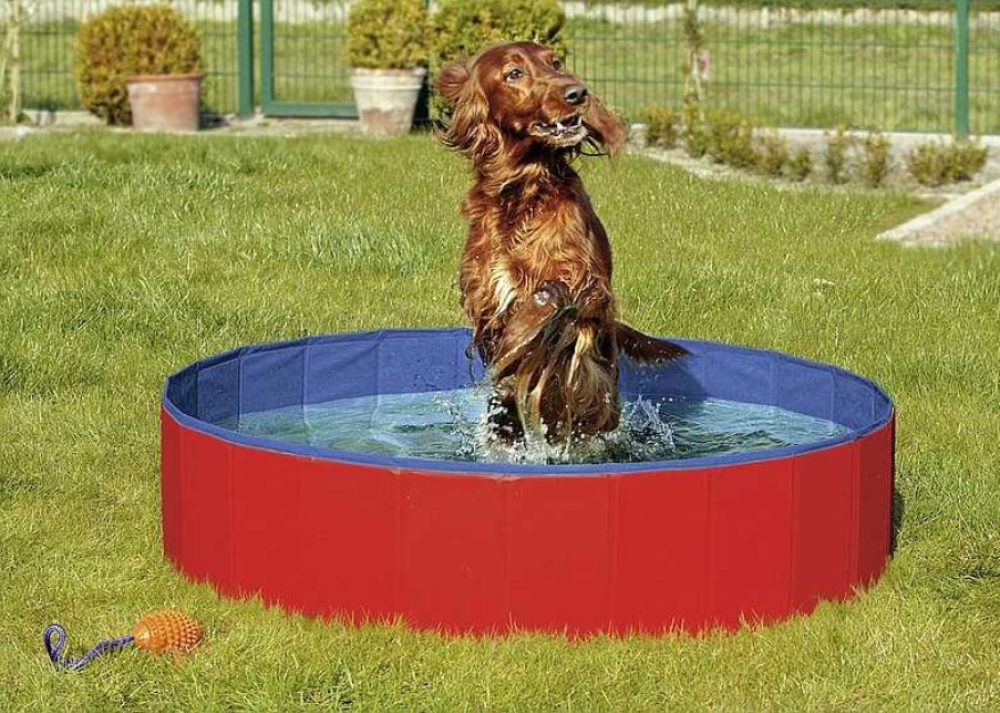 Perros Flamingo Acu Ticos | Flamingo Piscina Doggy