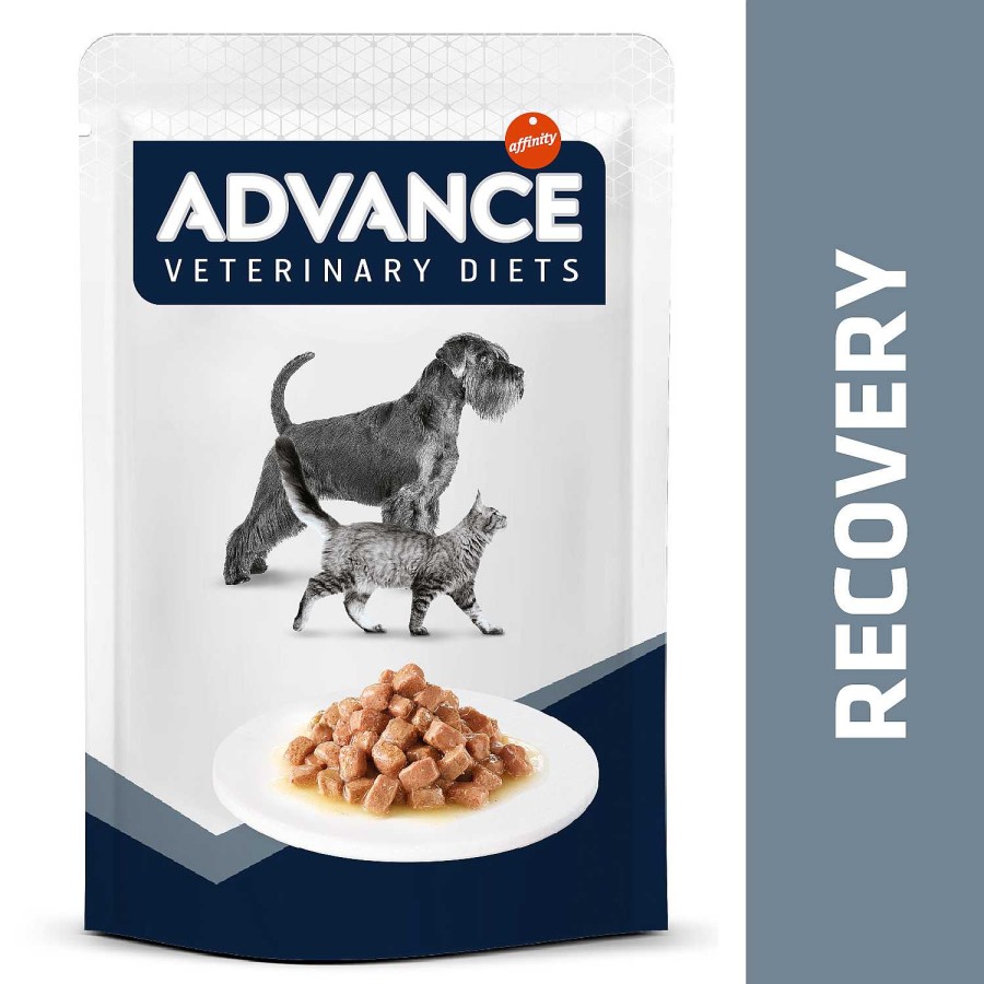 Gatos Advance Dieta Veterinaria | Advance Comida H Meda Recovery Para Perros