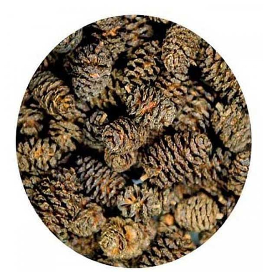 Peces Hobby Tratamientos Enfermedades | Hobby Alder Cones