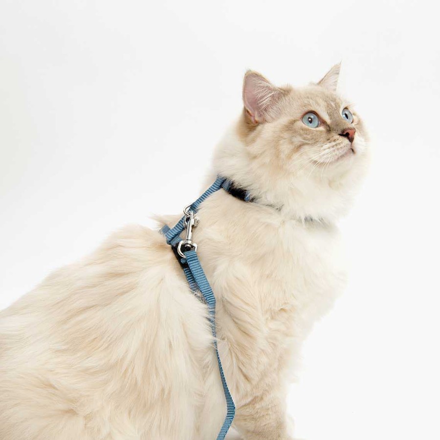 Gatos Catit Arneses Y Correas | Catit Arn S Y Correa Azul