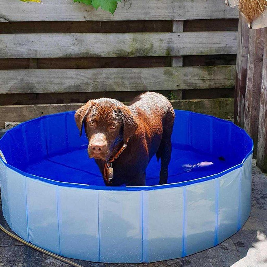 Perros Duvo Plus Acu Ticos | Duvo Plus Piscina Para Perros Resistente