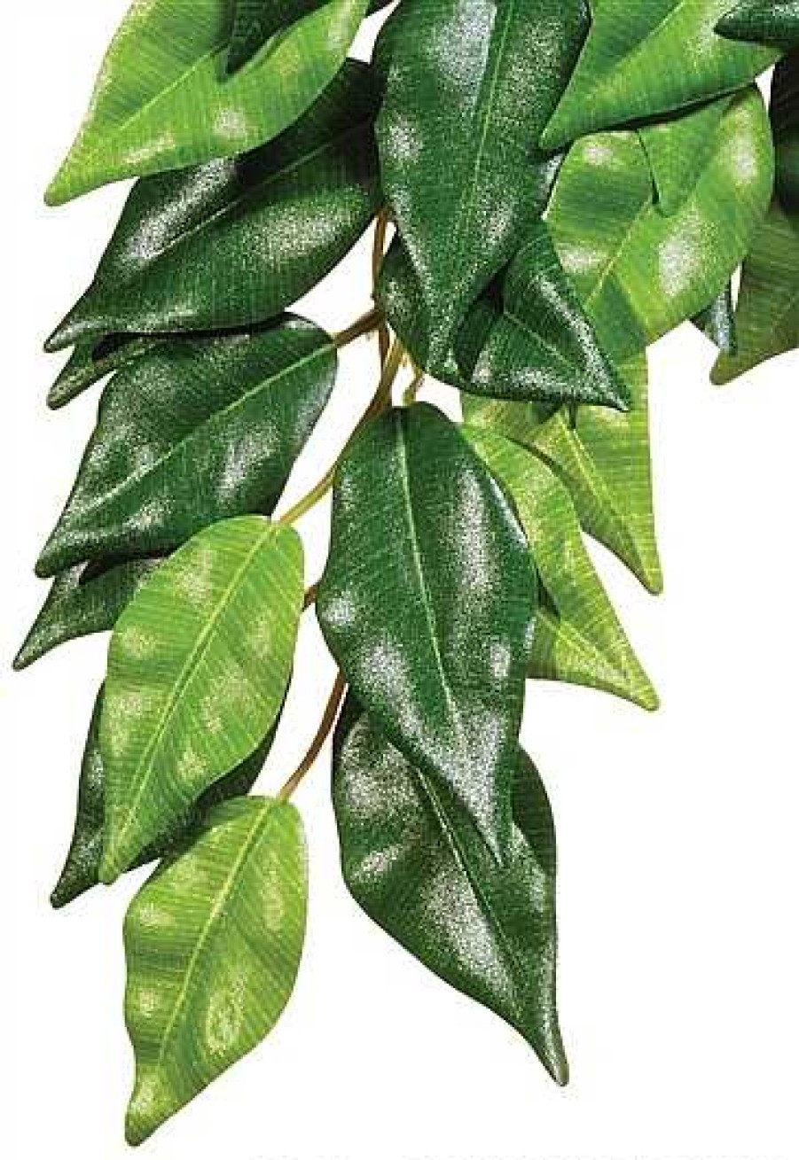 Reptiles Exo Terra Plantas Artificiales | Exo Terra Planta De Seda Ficus