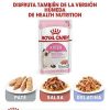 Gatos Royal Canin Pienso | Royal Canin Kitten Pienso Para Gatitos