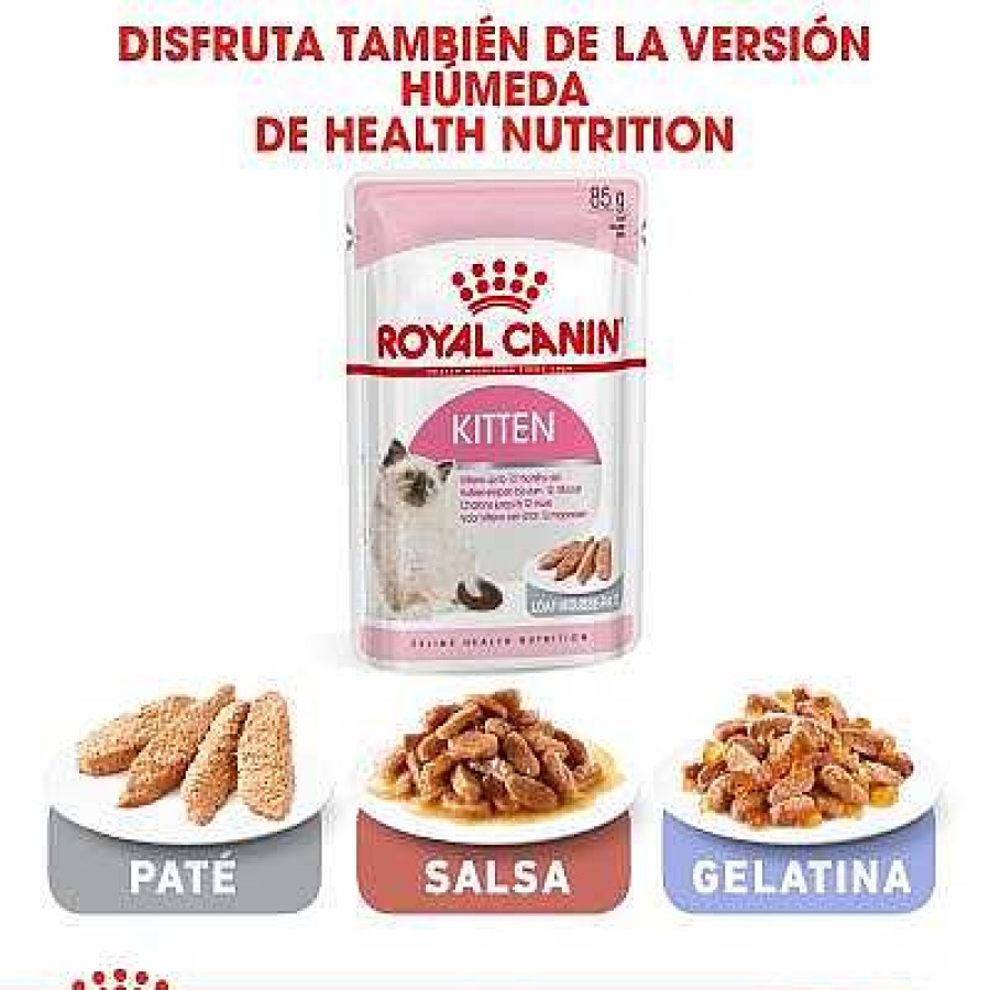 Gatos Royal Canin Pienso | Royal Canin Kitten Pienso Para Gatitos