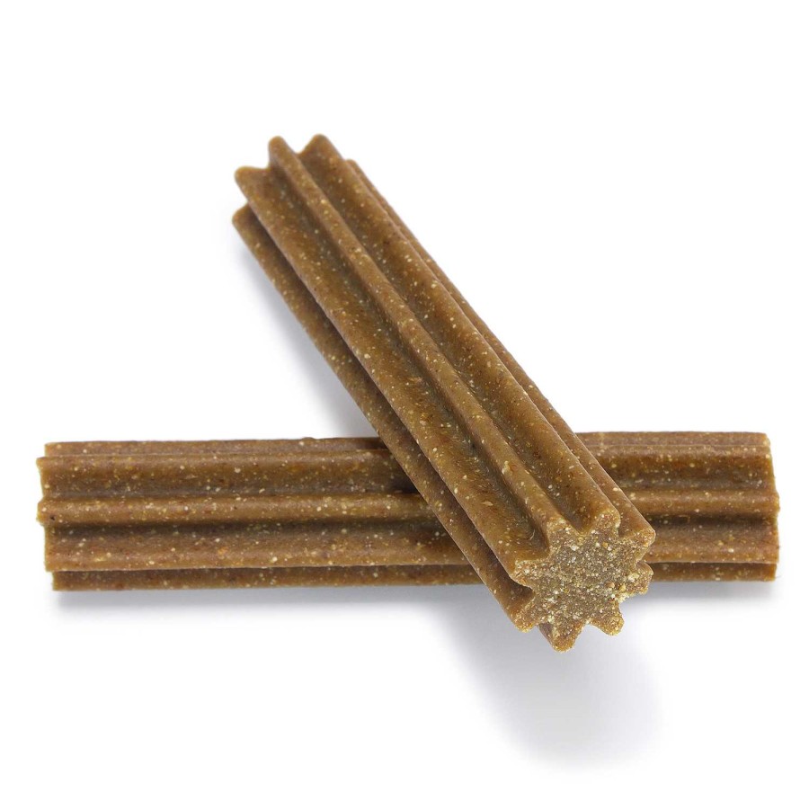 Perros Arquivet Higiene Dental | Arquivet Snacks Dental Sticks Para Perros