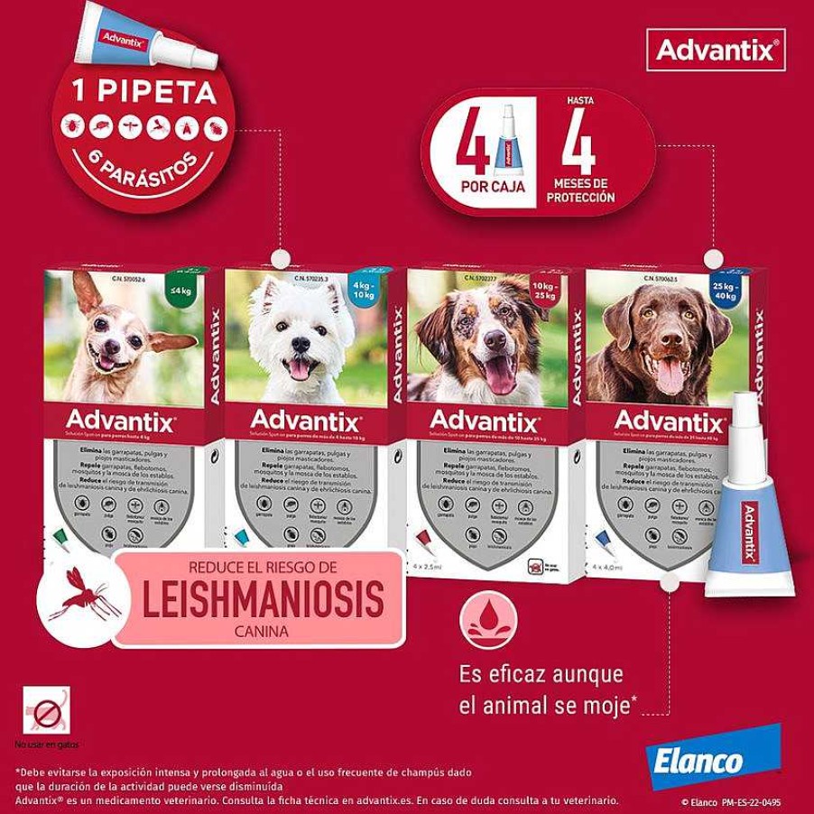 Perros Advantix Pipetas | Advantix Pipetas Spot On Para Perro De 4-10 Kg