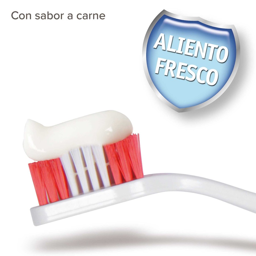 Gatos Beaphar Higiene Bucodental | Beaphar Pasta Dent Frica Con Sabor A Carne Para Perro Y Gato