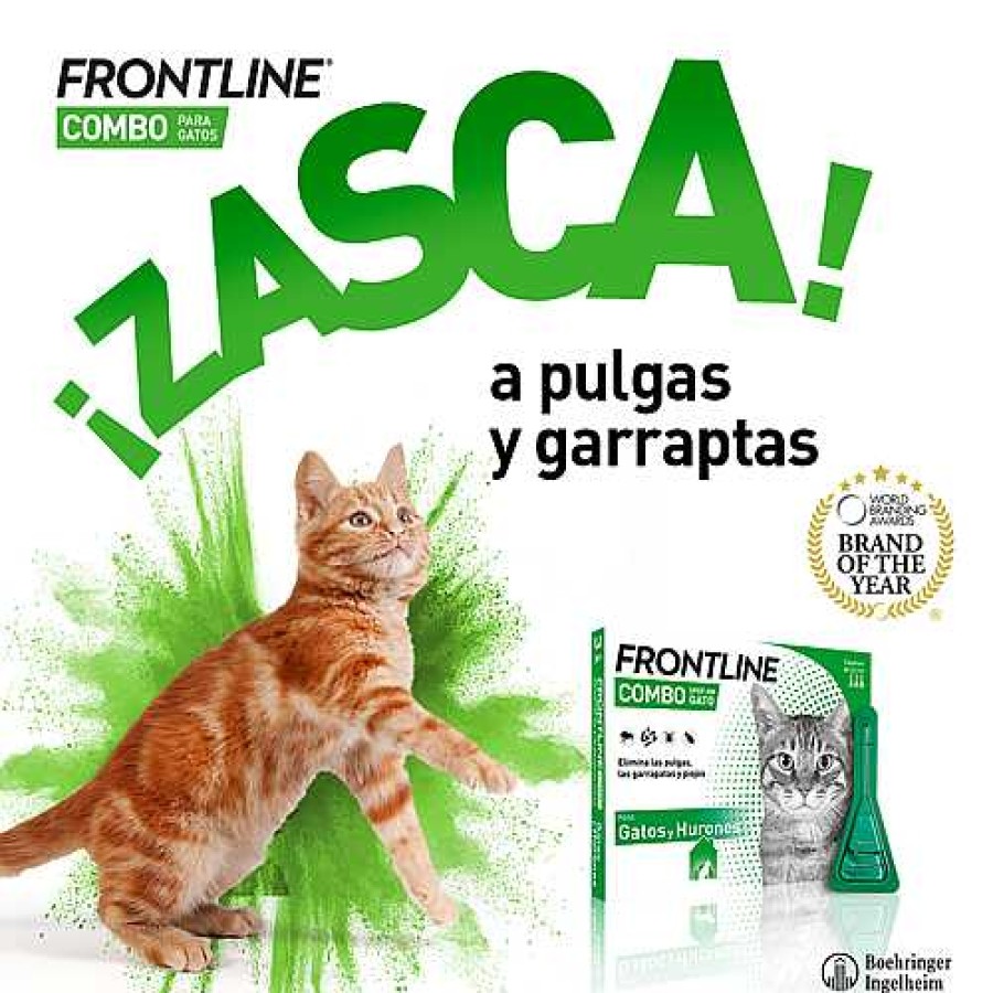 Gatos Frontline Pipetas | Frontline Pipetas Combo Spot-On Para Gatos