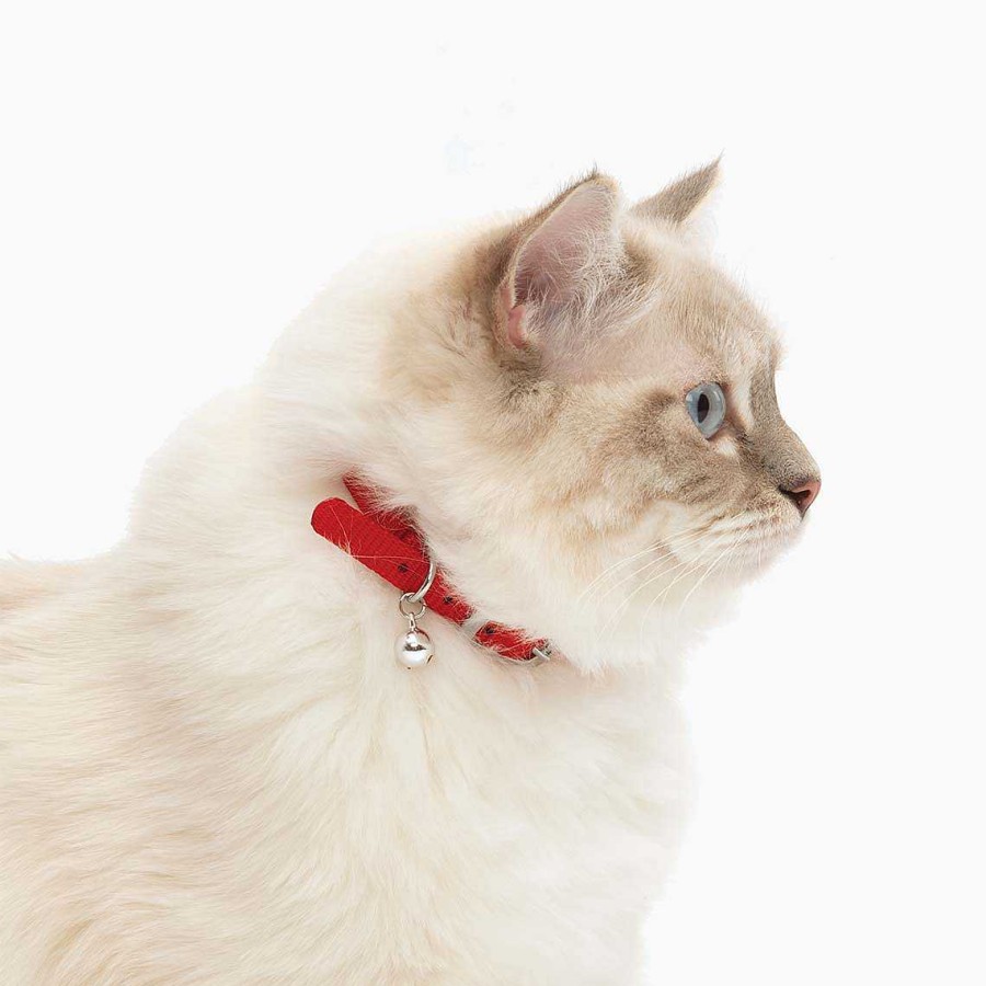 Gatos Catit Collares | Catit Collar Hebilla Plata El Stico Rojo