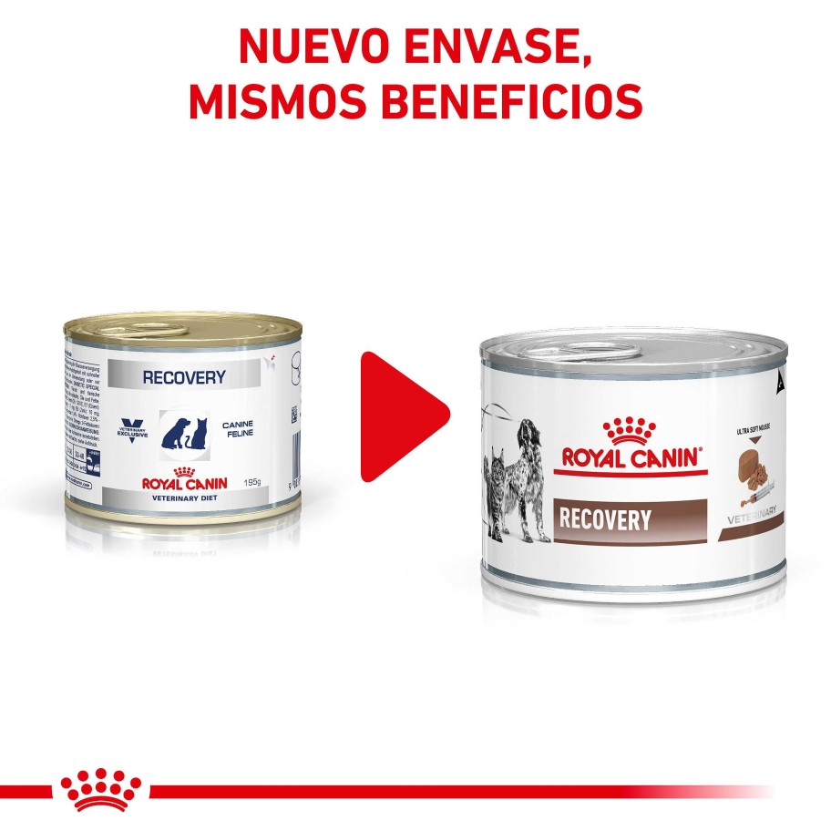 Gatos Royal Canin Dieta Veterinaria | Pack 12 Royal Canin Comida H Meda Recovery Canine & Feline