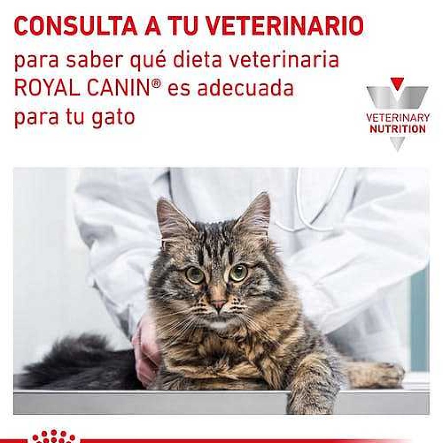 Gatos Royal Canin Dieta Veterinaria | Royal Canin Comida H Meda Early Renal Para Gatos