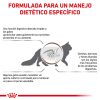 Gatos Royal Canin Pienso | Royal Canin Pienso Gastrointestinal Moderate Calorie Para Gato