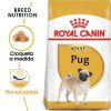 Perros Royal Canin Pienso | Royal Canin Pug Adult Pienso Para Perro Adulto Carlino