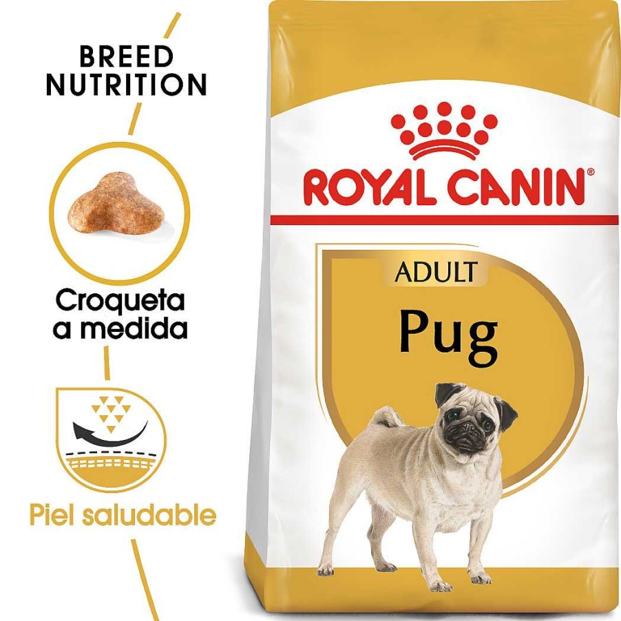 Perros Royal Canin Pienso | Royal Canin Pug Adult Pienso Para Perro Adulto Carlino