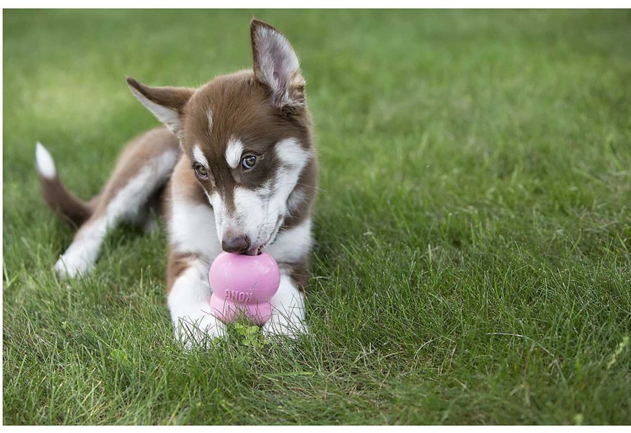 Perros KONG Semi-H Medos | Kong Crema Para Rellenar Juguetes Easy Treat Para Cachorros