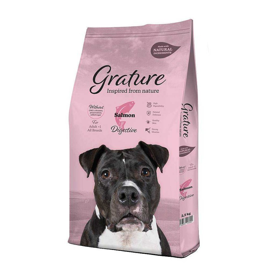 Perros Grature Pienso | Grature Pienso De Salm N Para Perros Adultos