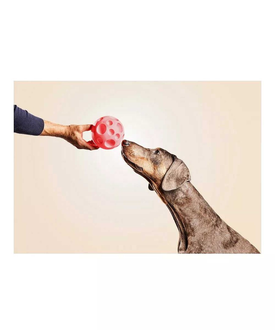 Perros Gloria Pets De Inteligencia E Interactivos | Gloria Pets Snackball Dispensador De Comida