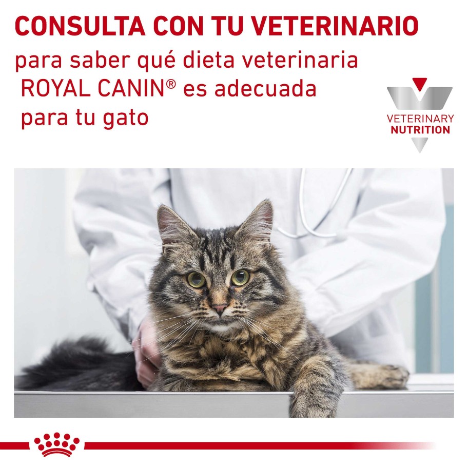 Gatos Royal Canin Pienso | Royal Canin Pienso Hypoallergenic Para Gato