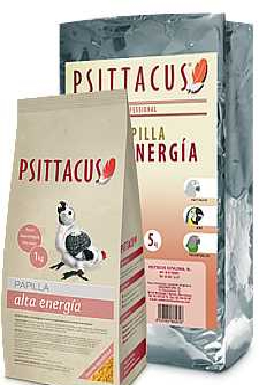 P Jaros Psittacus | Psittacus Papilla Alta Energ A